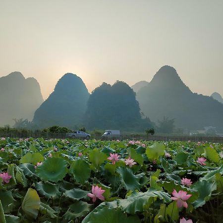 Yangshuo Tea Cozy--One Way Free Pick Up From Airport Or Ts 4 Nights Guest House Ngoại thất bức ảnh