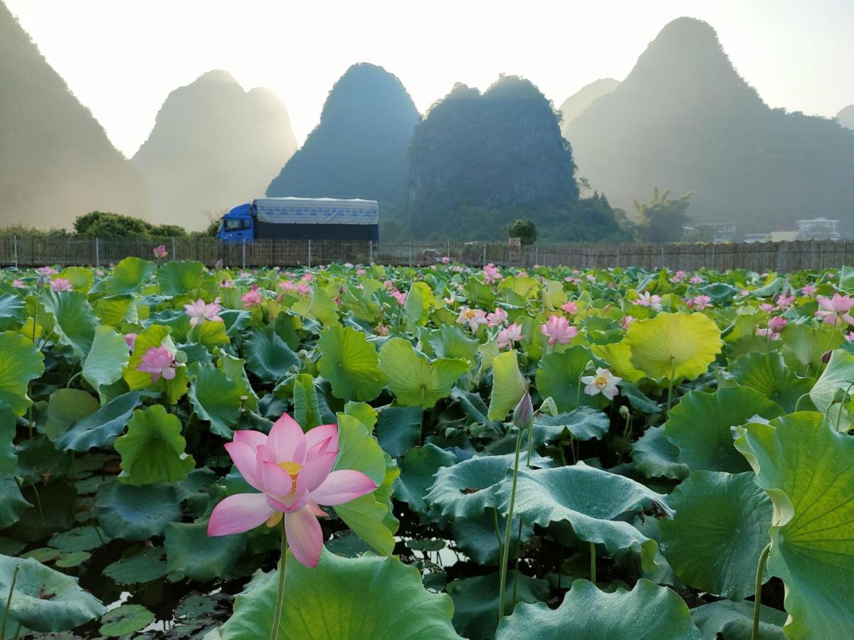 Yangshuo Tea Cozy--One Way Free Pick Up From Airport Or Ts 4 Nights Guest House Ngoại thất bức ảnh