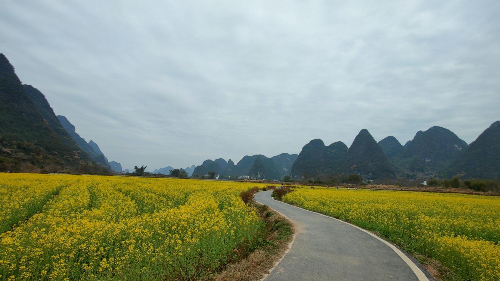Yangshuo Tea Cozy--One Way Free Pick Up From Airport Or Ts 4 Nights Guest House Ngoại thất bức ảnh