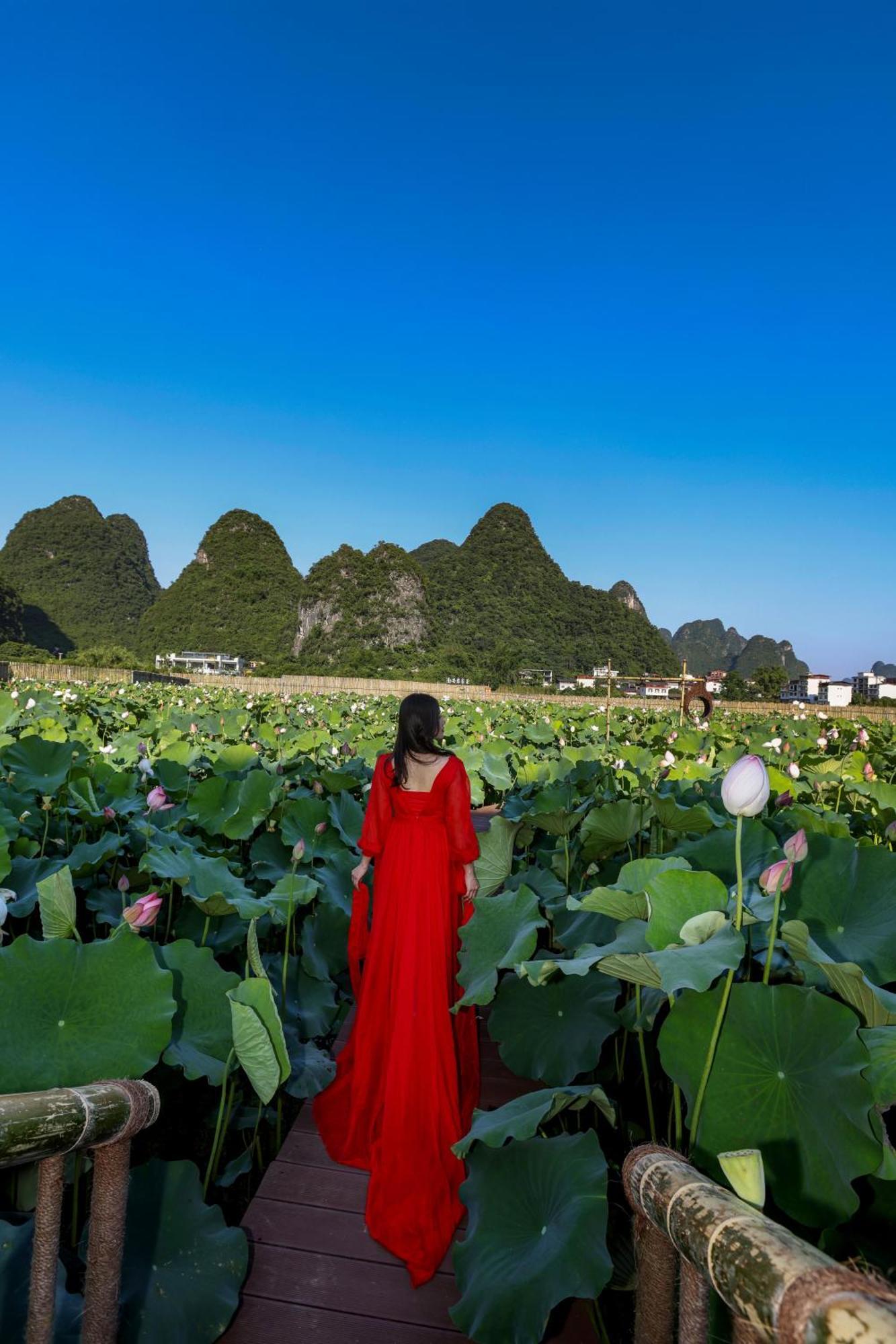 Yangshuo Tea Cozy--One Way Free Pick Up From Airport Or Ts 4 Nights Guest House Ngoại thất bức ảnh
